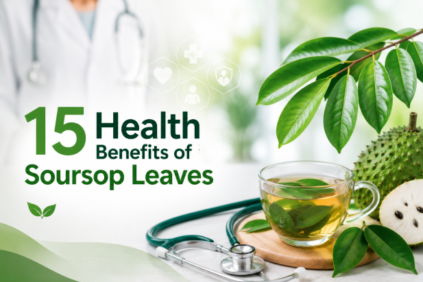 15 Health Benefits of Soursop Leaves