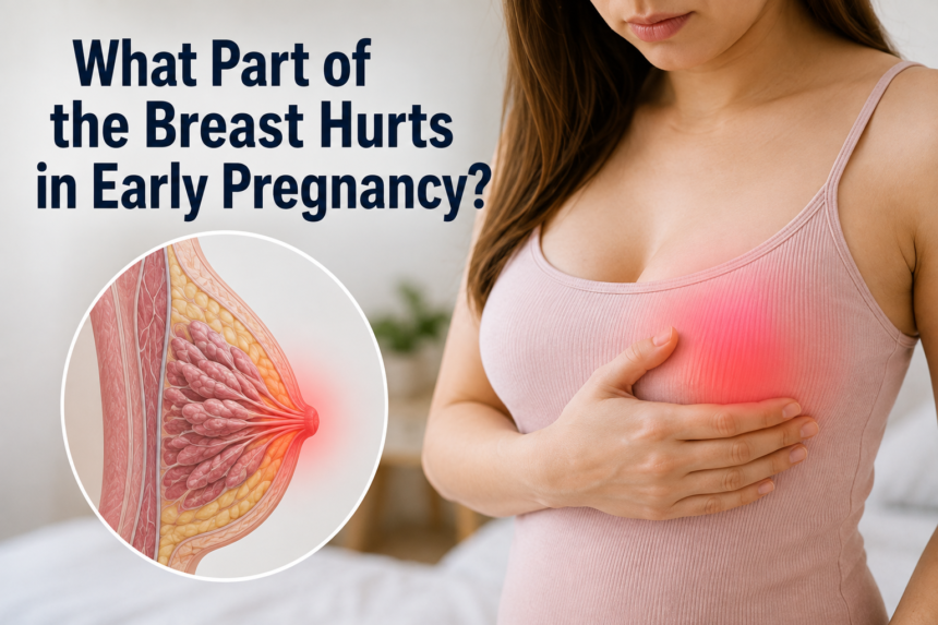 What Part of the Breast Hurts in Early Pregnancy?